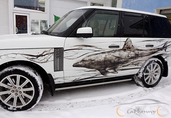 Рисунок дельфина на RR