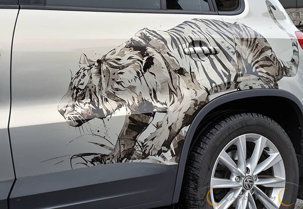 Рисунок тигра на борт VW Tiguan