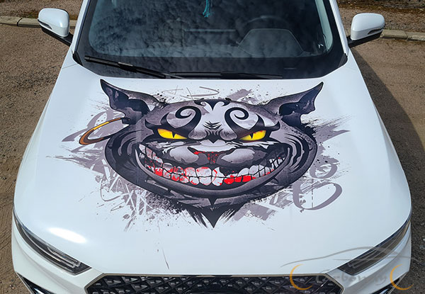 Рисунки на авто, we're all mad here